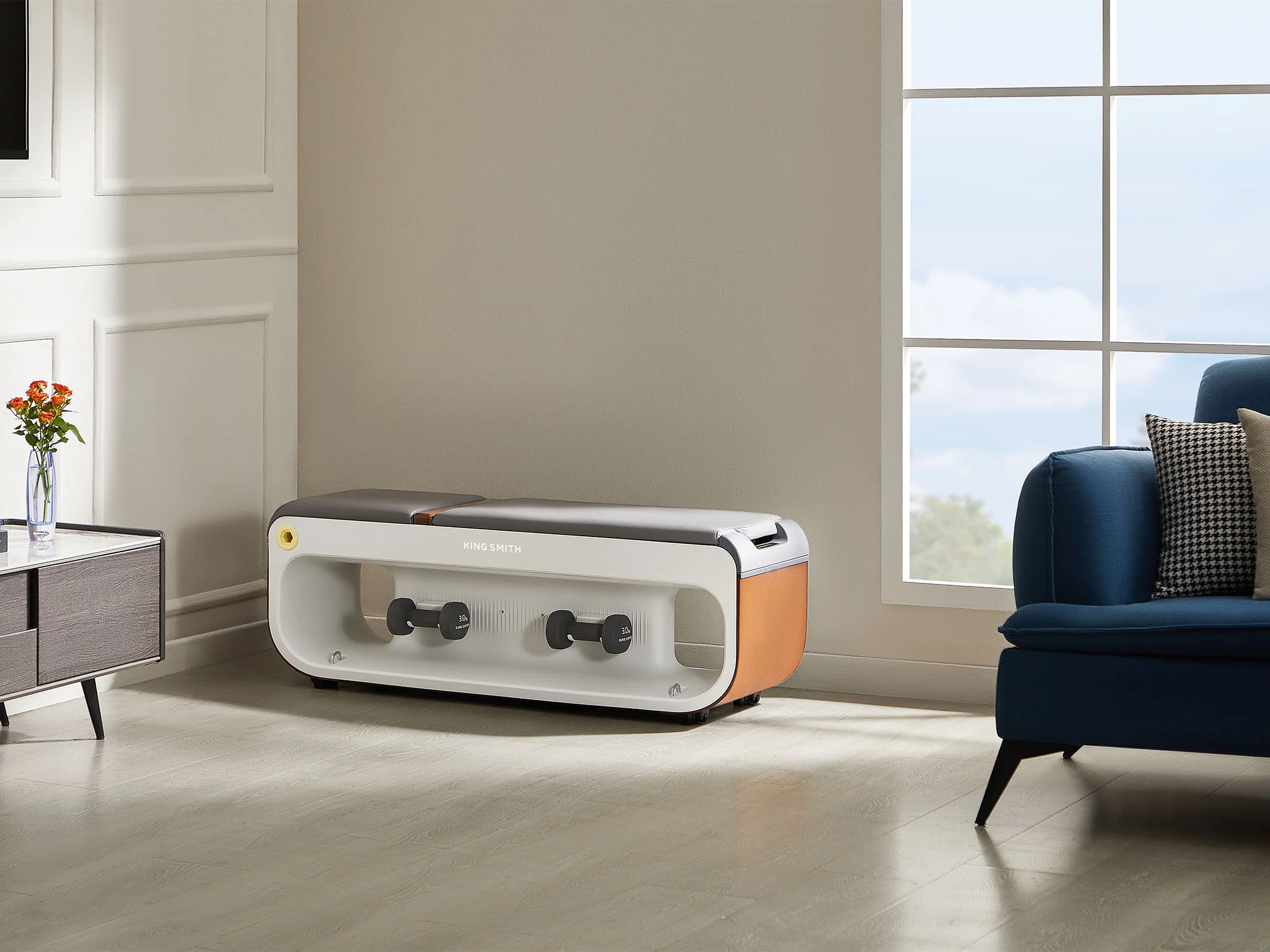 KingSmith WalkingPad Multifunctionele Fitnessbank - Image 10